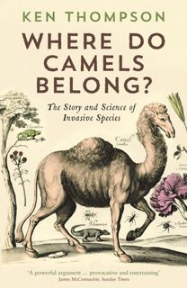 Where do Camels Belong?