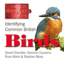 Identifying Common British Birds
