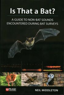 Is that a Bat?