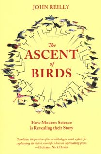 Ascent of Birds