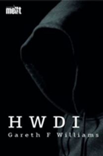 Cyfres Mellt: Hwdi (Pecyn O 15) Cyfres Mellt: Hwdi (Pecyn O 15)