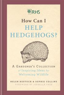 Rhs how can I Help Hedgehogs?