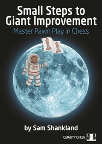 Small Steps to Giant Improvement