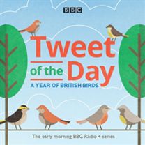 Tweet of the Day