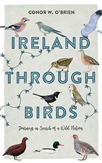 Ireland Through Birds