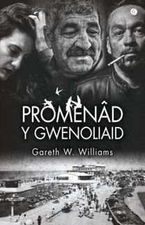 Promenad Y Gwenoliaid