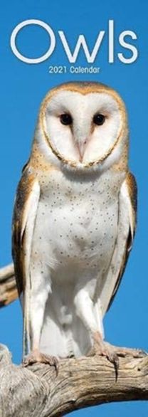 Owls 2021 Slim Calendar