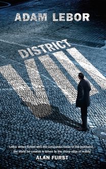 District Viii