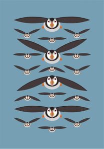 Flying Puffins A5 Hardback Notebook