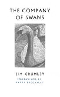Company of Swans