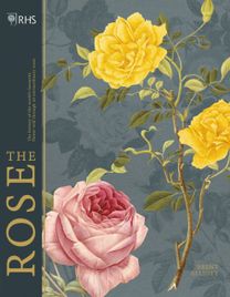Rhs the Rose