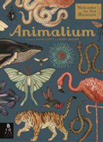 Animalium