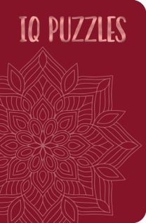Iq Puzzles