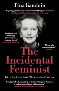 Incidental Feminist