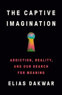Captive Imagination