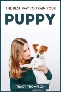 Best Way to Train Your Puppy
