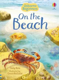 On the Beach (Usborne Beginners)