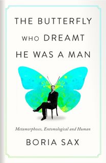 Butterfly Who Dreamt He Was a Man