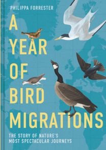 Year of Bird Migrations