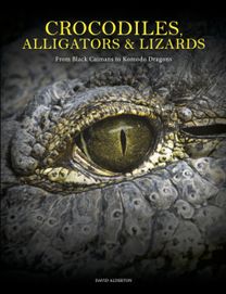 Crocodiles, Alligators & Lizards