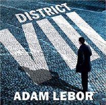 District Viii
