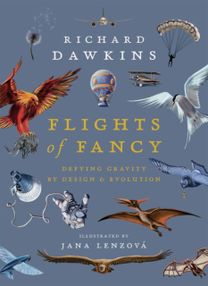 Flights of Fancy
