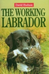 The Working Labrador