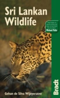 Sri Lankan Wildlife