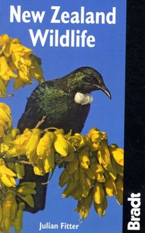 New Zealand Wildlife