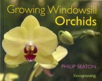 Growing Windowsill Orchids