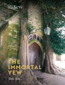 Immortal Yew, the