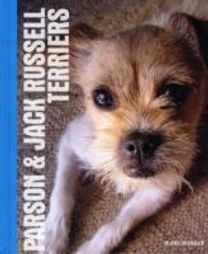 Parson and Jack Russell Terriers