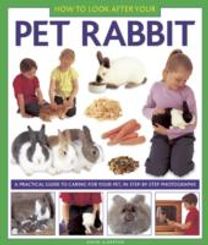 How to Look After Your Pet Rabbit