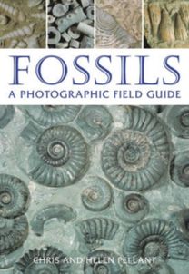 Fossils