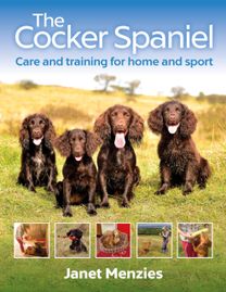 Cocker Spaniel