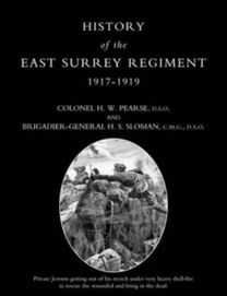 History of the Esurrey Reg V.3 1917-19