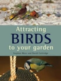 Attracting Birds to Your Garden