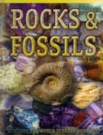 Rocks and Fossils