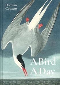 Bird a Day