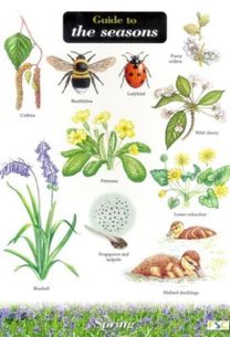 Guide to the Seasons