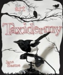 Art of Taxidermy