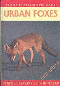 Urban Foxes Urban Foxes
