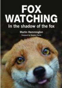 Fox Watching