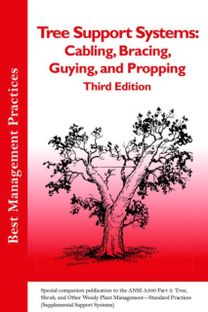 Tree Support Systems