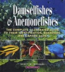 Damselfishes and Anemonefishes