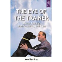 Eye Of The Trainer