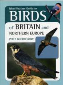 Identification Guide to Birds of Britain and Northern Europe