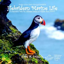 Draw Your Own Encyclopaedia Hebridean Marine Life Draw Your Own Encyclopaedia Hebridean Marine Life