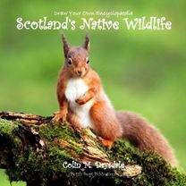 Draw Your Own Encyclopaedia Scotland's Native Wildlife Draw Your Own Encyclopaedia Scotland's Native Wildlife