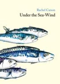 Under the Sea Wind